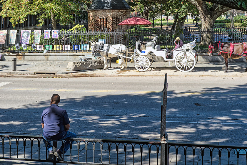 Horse-drawn carriages waiting for customers on Decatur Street