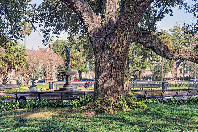 The Gumble Memorial Fountain in Audubon Park