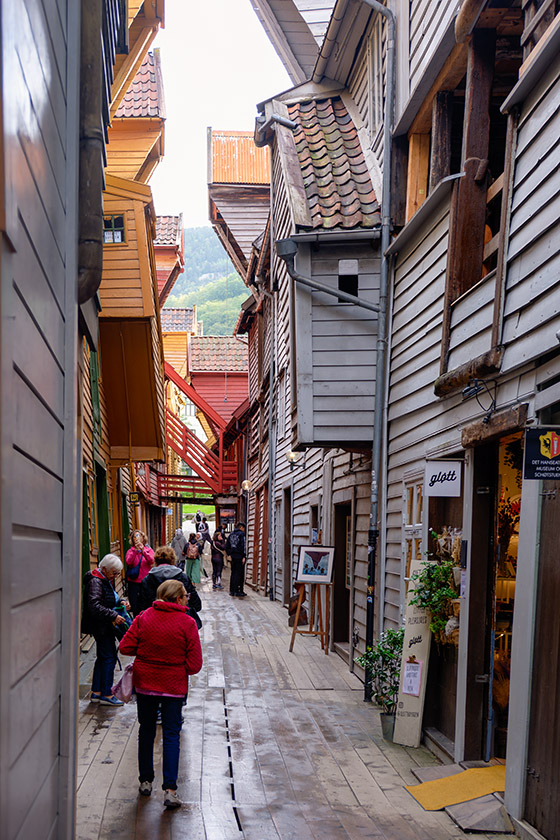 An alleyway between two houses