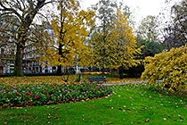 The 'Jardin du Luxembourg'