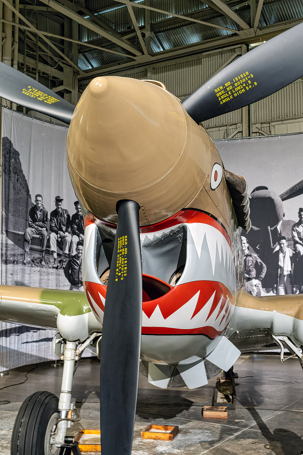 A look at the front of the Curtiss P-40 Warhawk
