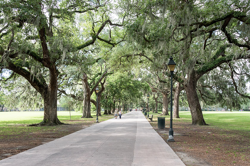 The central alley in Forsyth Park