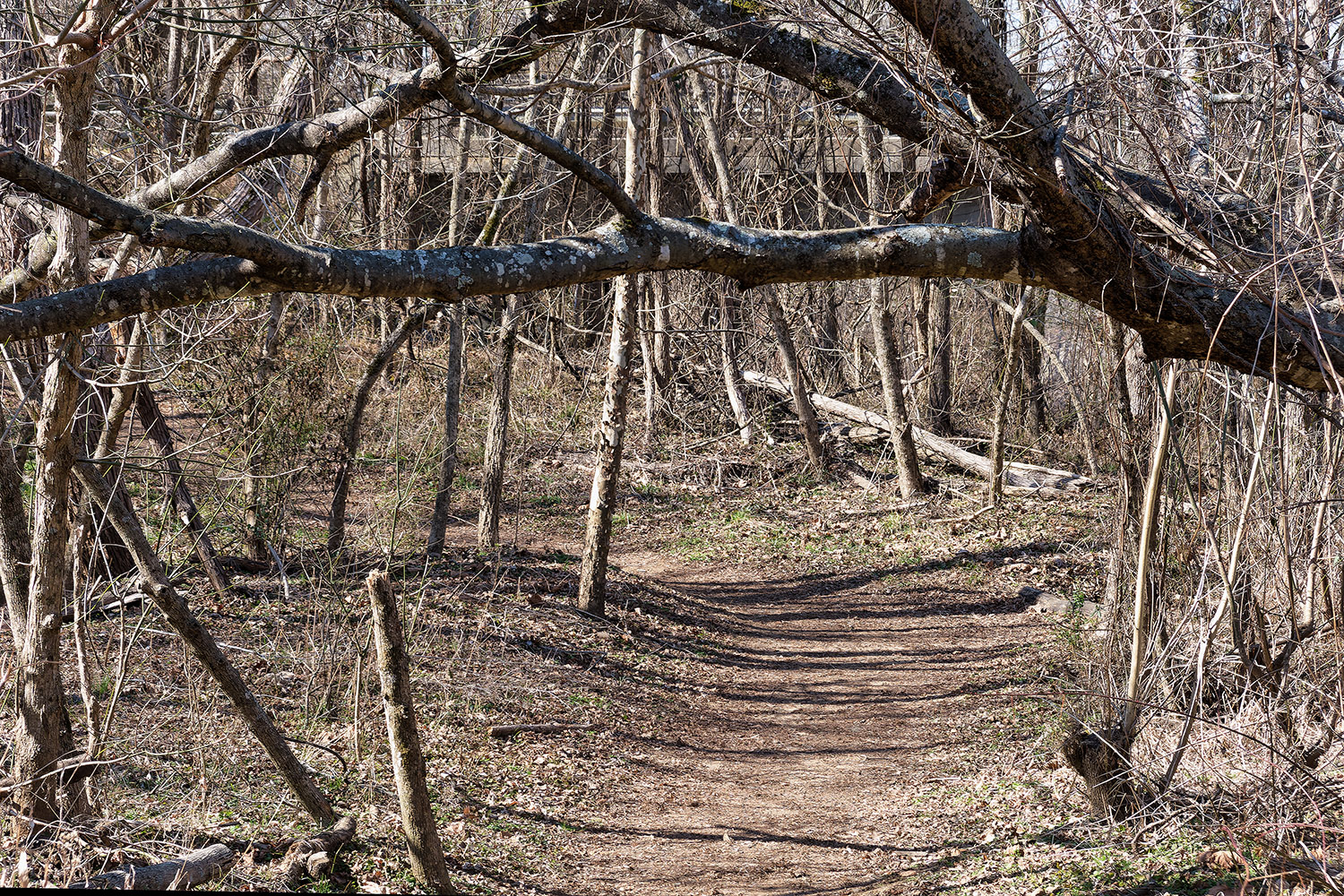 The trails are very accessible