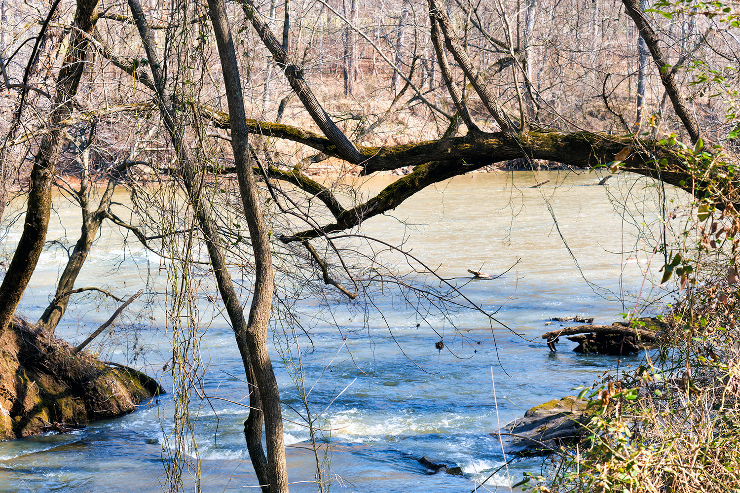 Looking at the Haw River before crossing over to the southern shore of the park