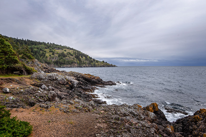 The coastline at Lime Kiln Point State Park