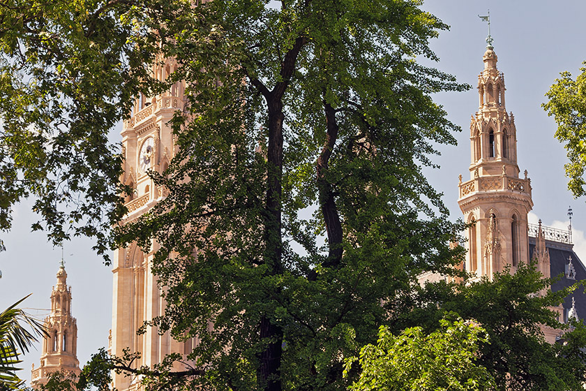 Catching a glimpse of Vienna City Hall through the trees