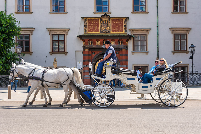 Horse-drawn carriage in front of the Swiss Gate of the Hofburg